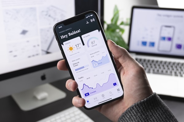 Software Interface Design